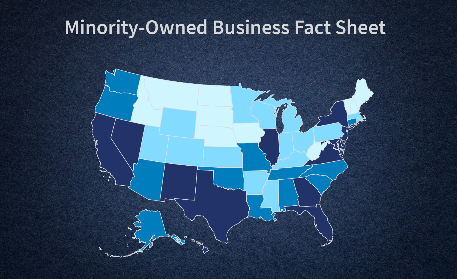 Minority-Owned Business Fact Sheet: Map of the United States in Blue Ink