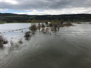 NE Oregon flooding