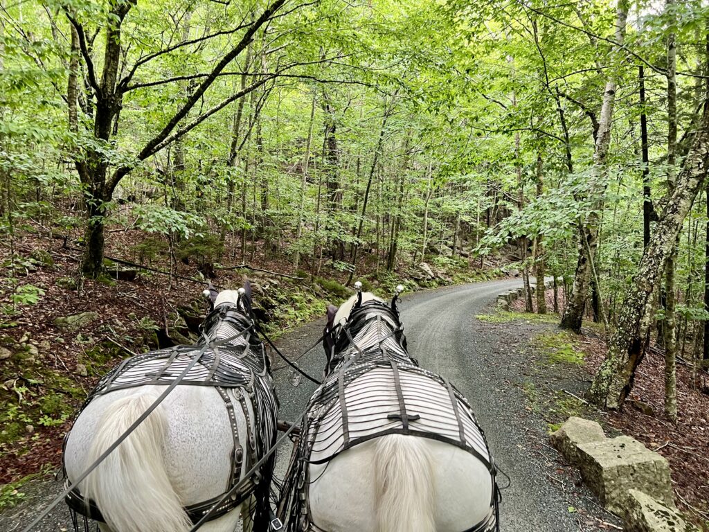 Carriages of Acadia tour