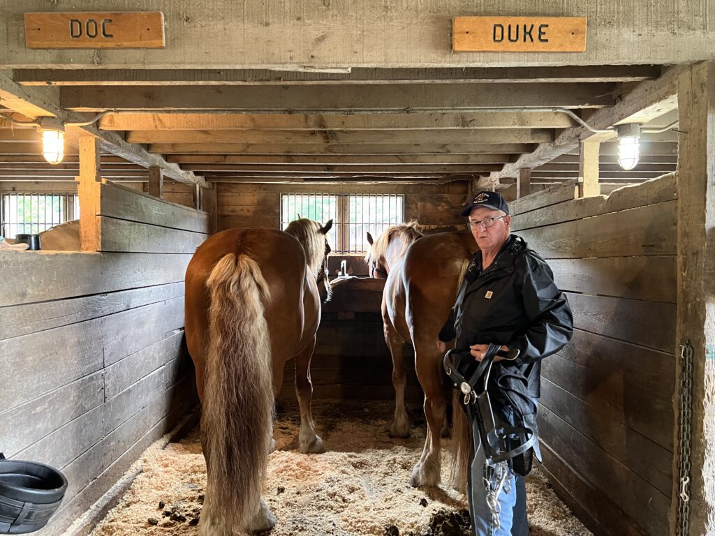 Michael Carpenter and his horses Doc (left) and Duke (right) in stables.