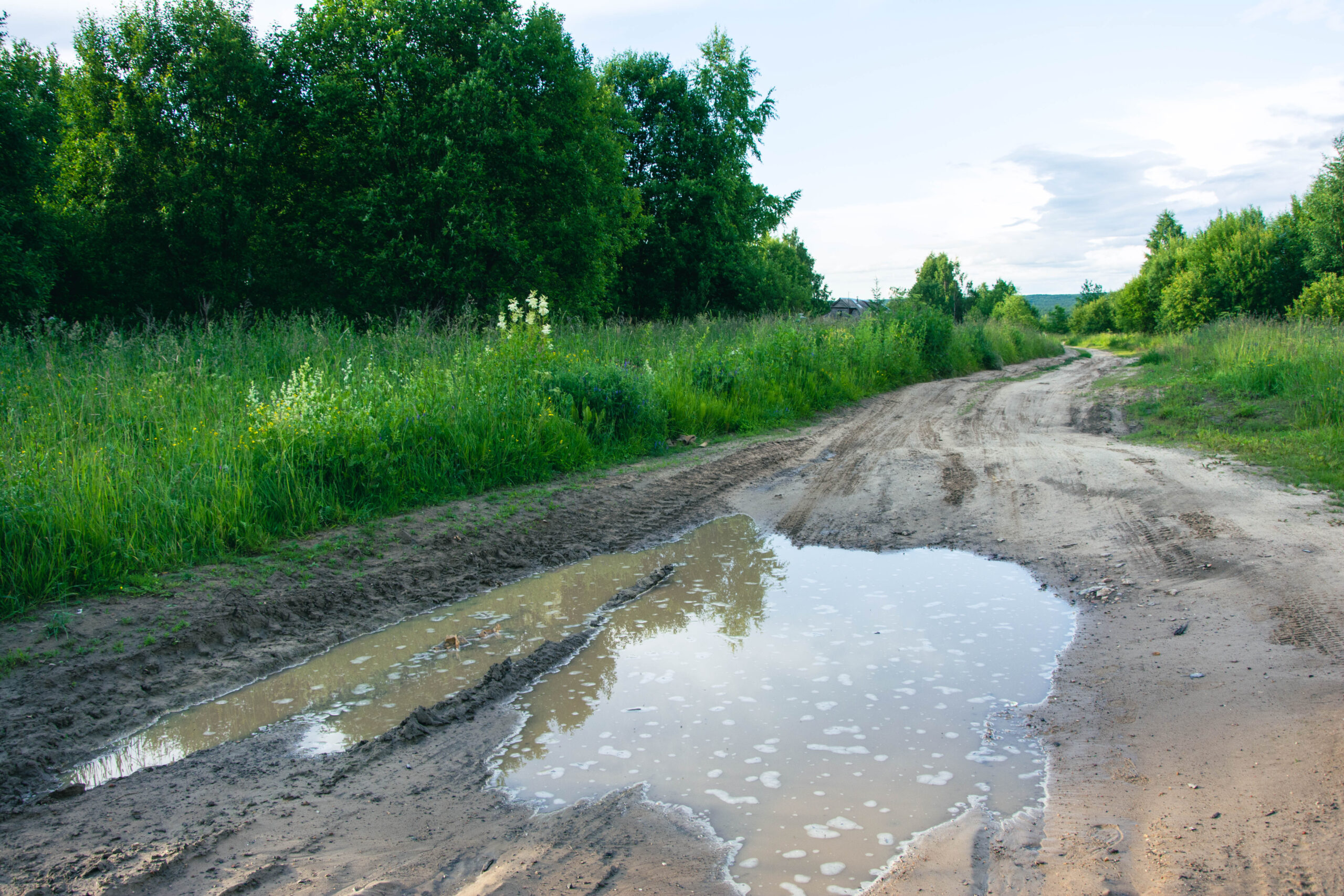 Water puddle making driving difficult on a dirt road surrounded by green grass and trees